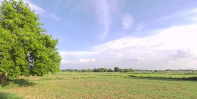 It Kheda, Madhya Pradesh, India