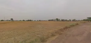 Tiwadiya, Madhya Pradesh 455336, India preview 3