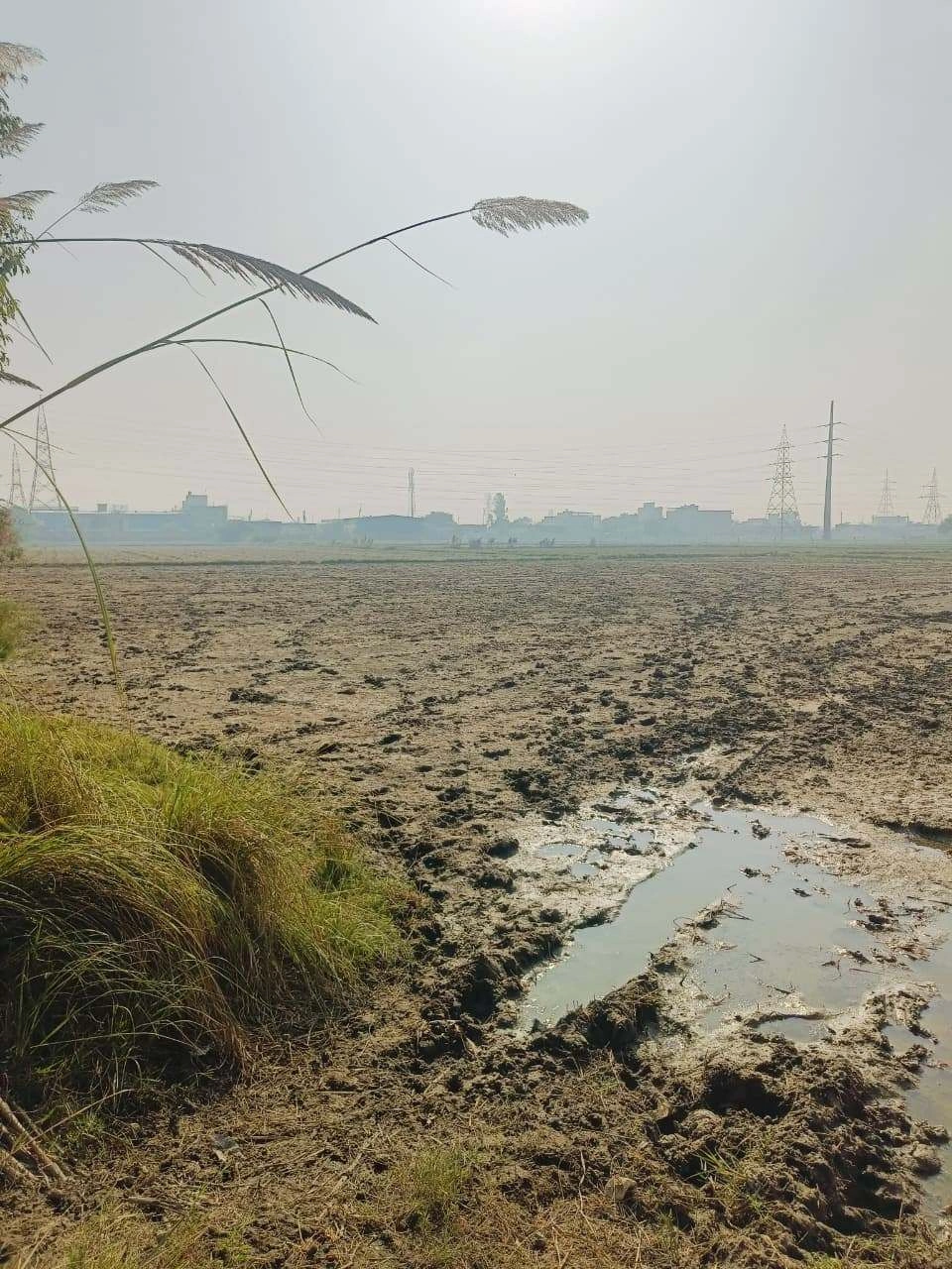 Basai, Mathura, Uttar Pradesh 281501, India - Photo 2