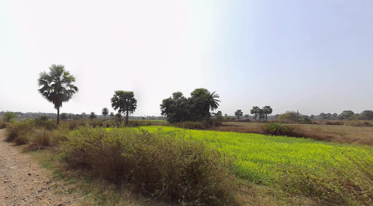 Jhantipahari, West Bengal, India