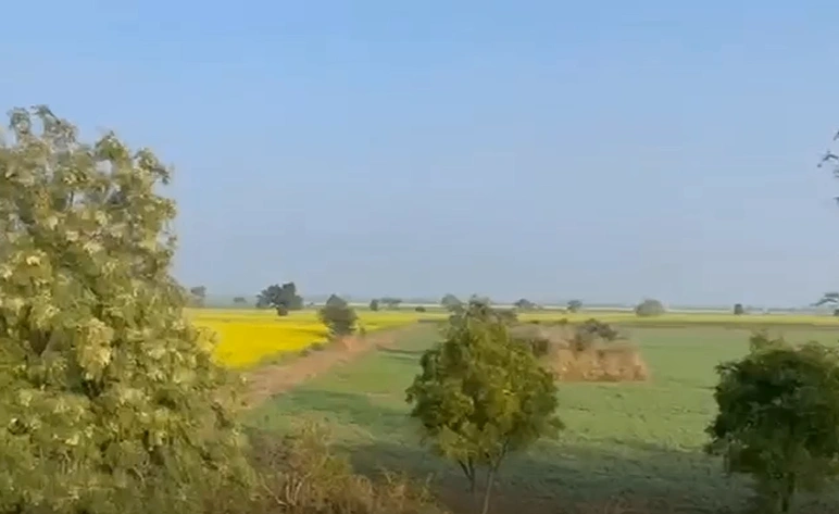 Barigarh, Chhatarpur, Madhya Pradesh 471510, India - Photo 2