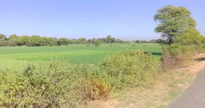 Kanadiya, Madhya Pradesh 452016, India preview 3