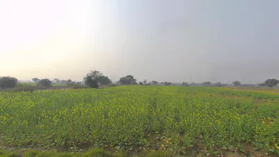 Bhagwanpur, Uttarakhand 247661, India preview 2