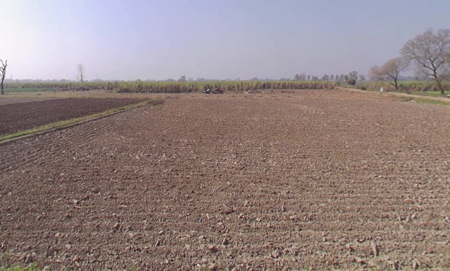 Mawana, Uttar Pradesh, India