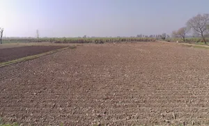 Mawana, Uttar Pradesh, India preview 2