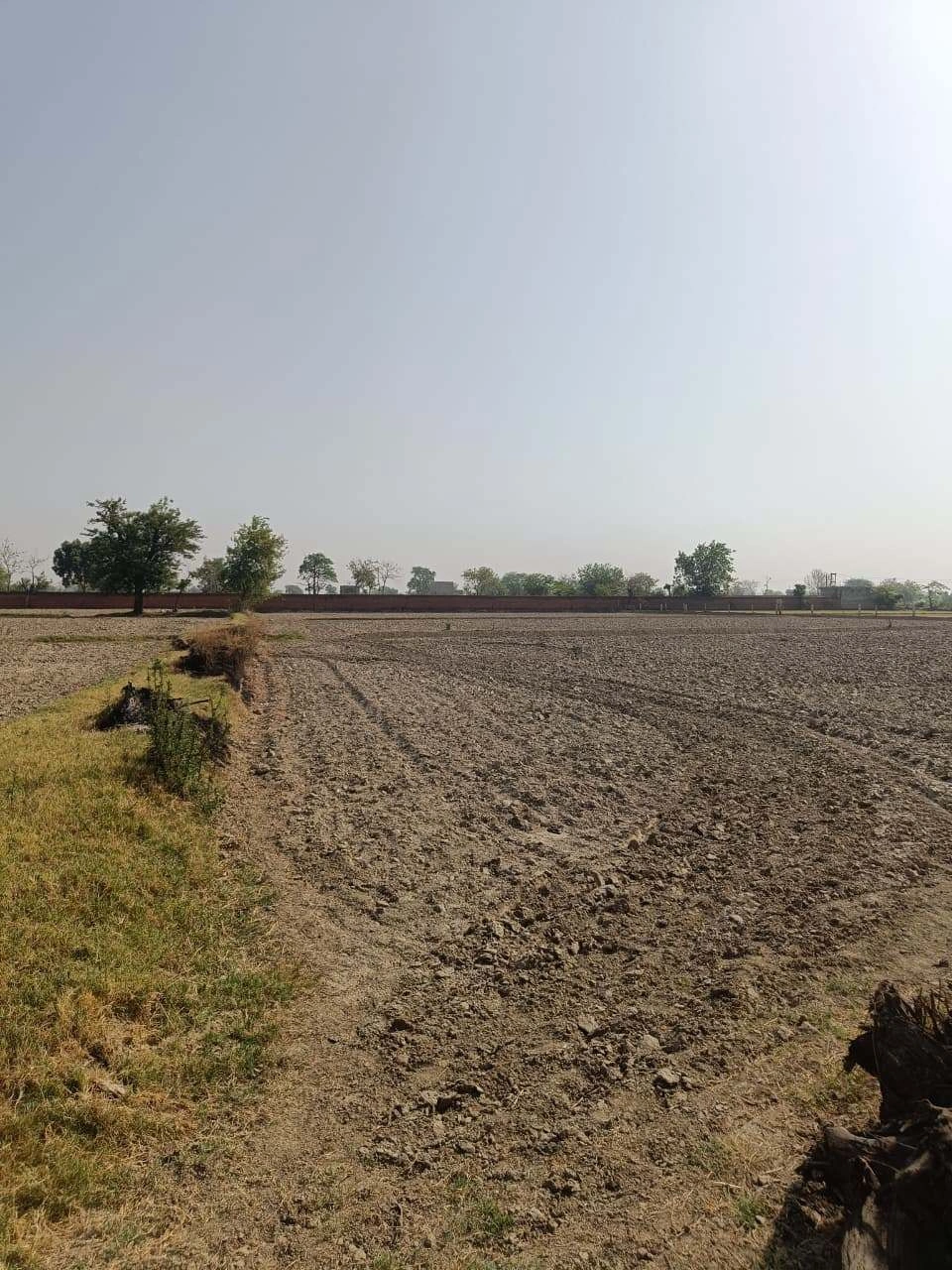 Gauhari, Uttar Pradesh 281401, India preview 2