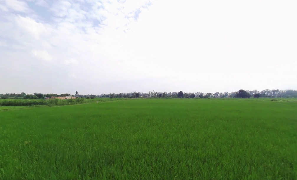 Mullanpur, Punjab 148023, India