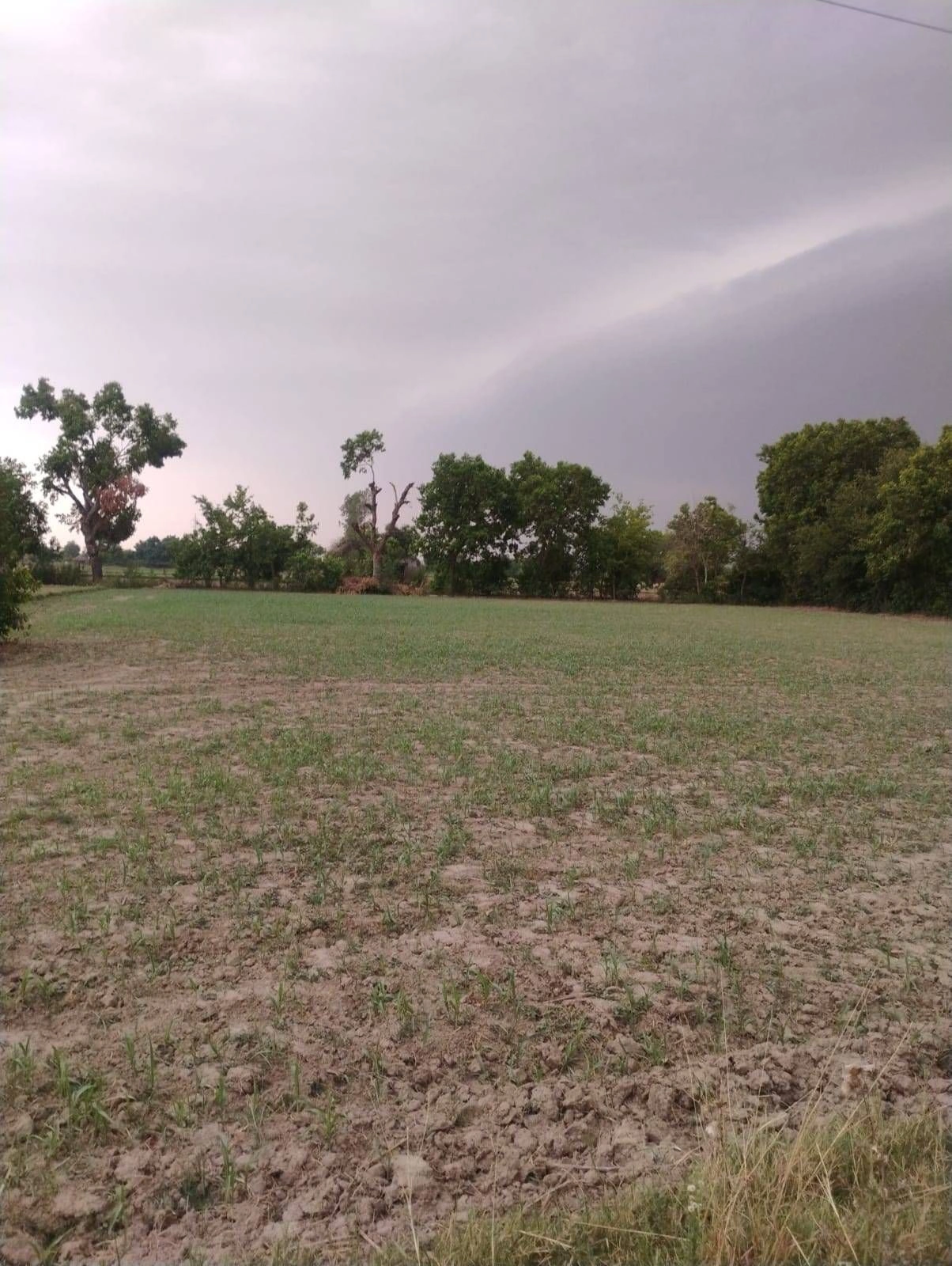 Sirsi, Uttar Pradesh 244301, India