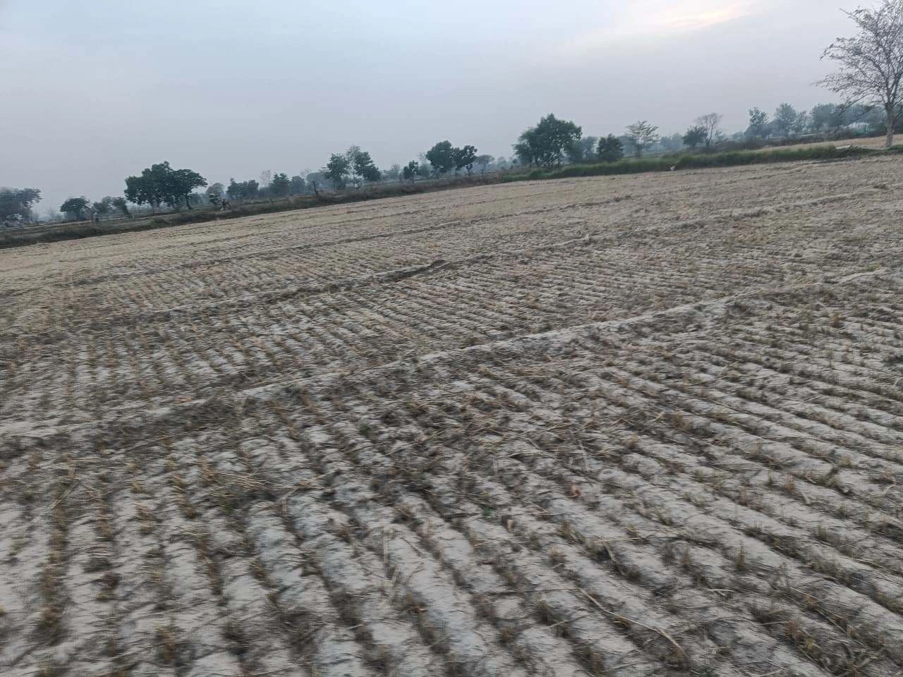 Ajijpur, Uttar Pradesh, India preview 2