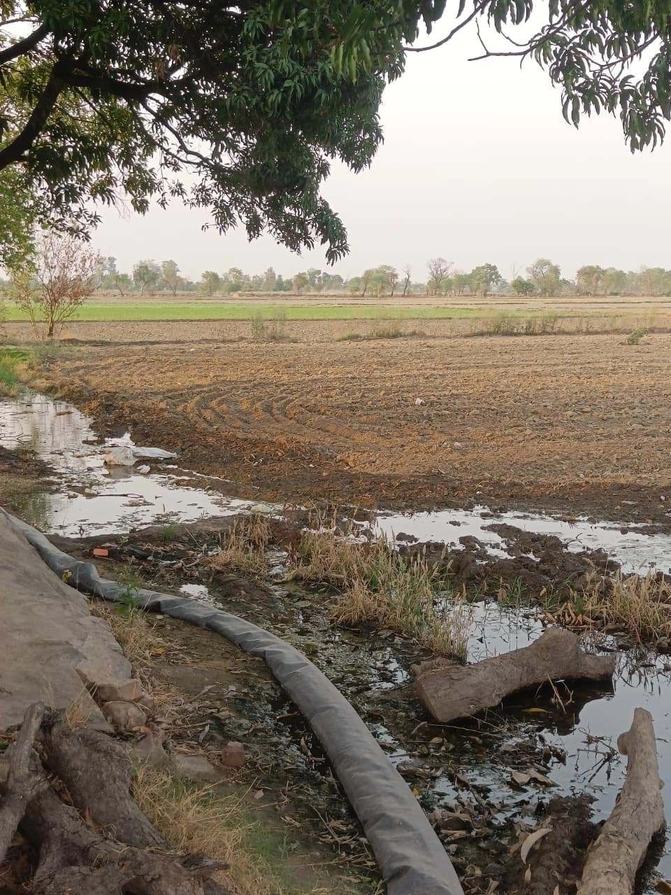 Chandauri, Uttar Pradesh, India