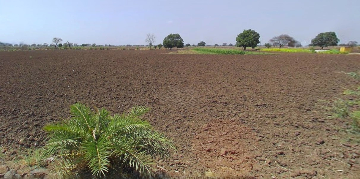 Shajapur, Madhya Pradesh 465001, India