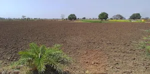 Shajapur, Madhya Pradesh 465001, India preview 3