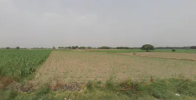 Siyana, Uttar Pradesh 203412, India preview 3
