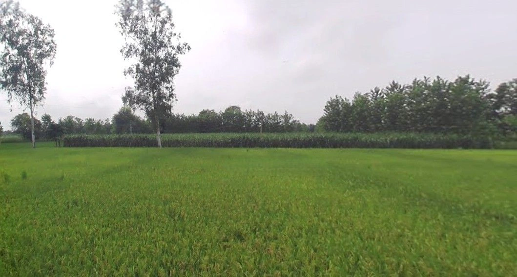 Jansath, Uttar Pradesh 251314, India