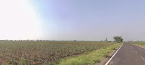 M72V+22 Manpar, Gujarat, India preview 3