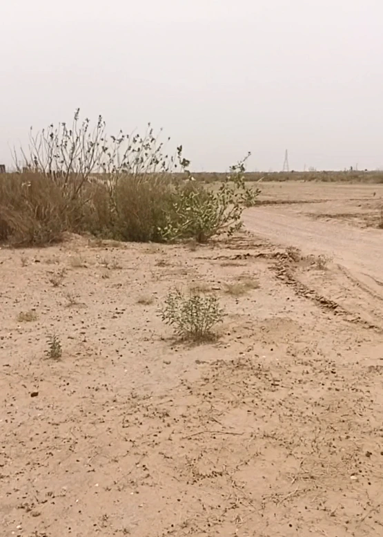 WWHH+5GQ, Jaisalmer, Pokhran, Rajasthan 345021, India