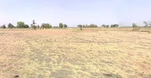 Obaidullaganj, Madhya Pradesh 464993, India preview 2