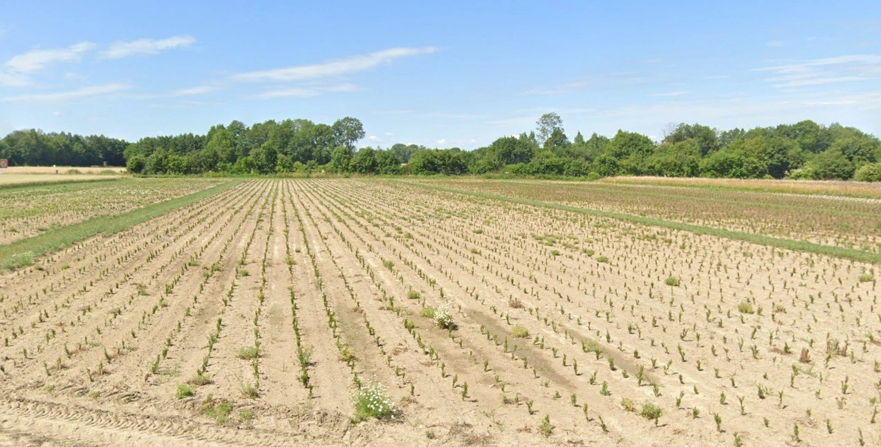 Borkheda Pitramal, Madhya Pradesh 456335, India