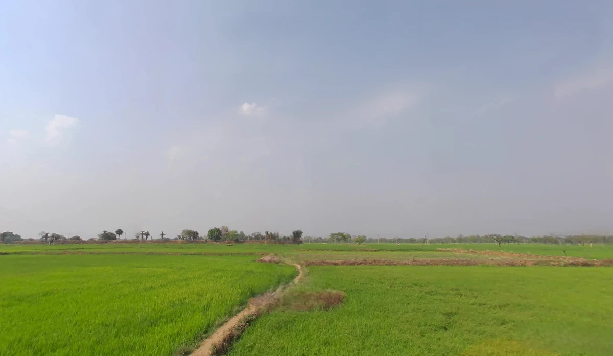 Bhalukona, Chhattisgarh 493555, India