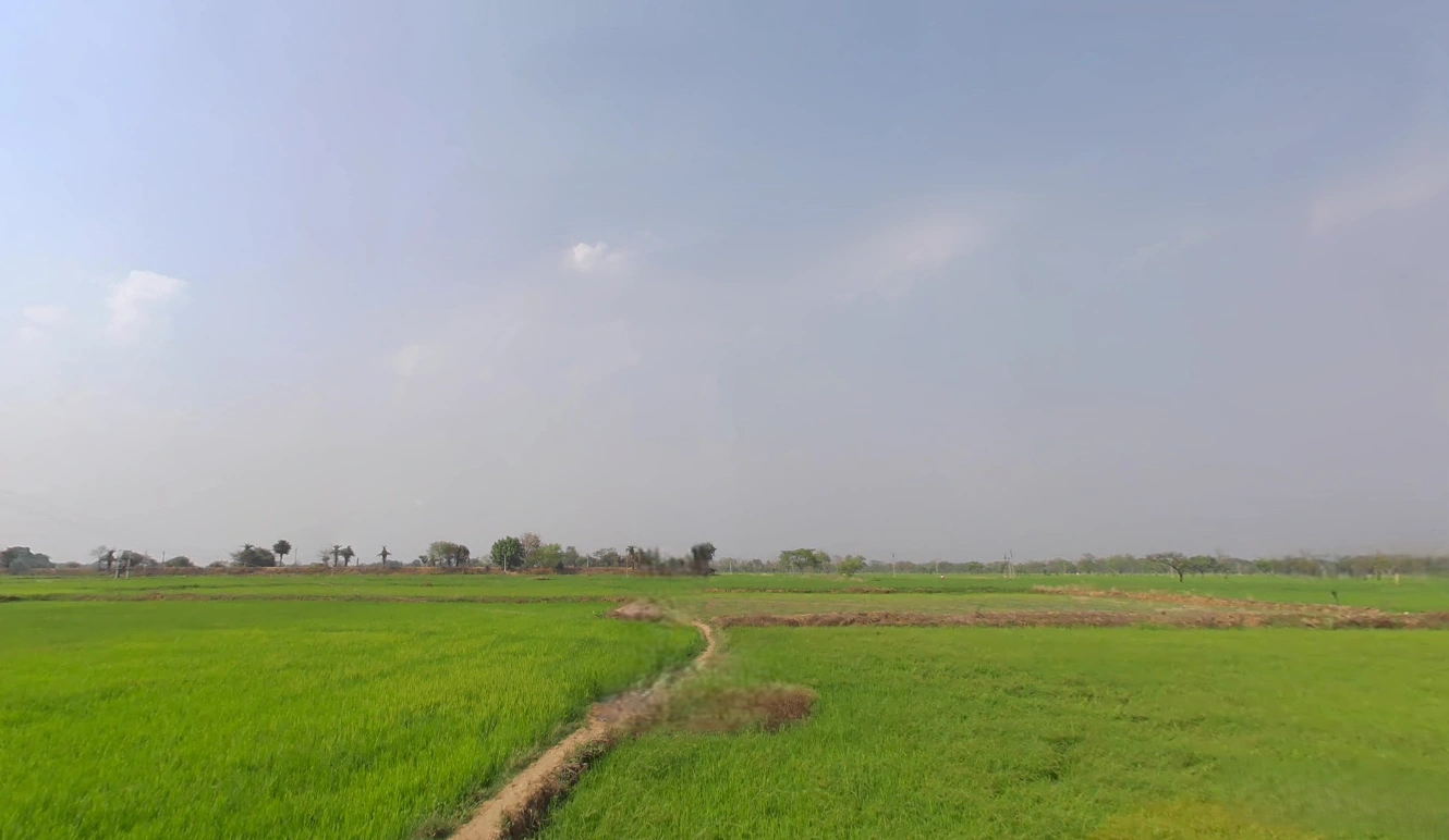 Bhalukona, Chhattisgarh 493555, India