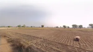 Barnagar, Madhya Pradesh 456771, India preview 2