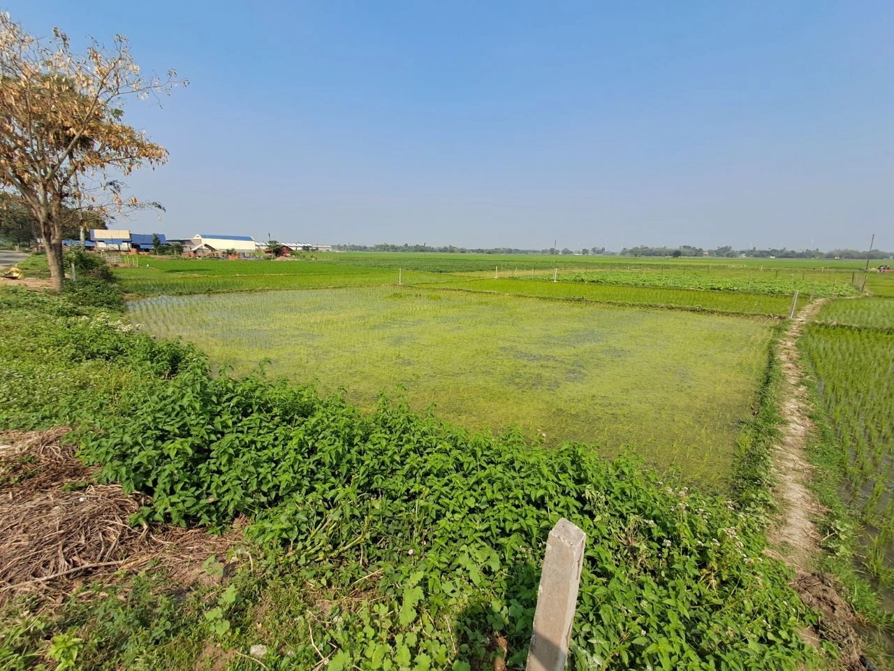 Puinan, West Bengal 712305, India