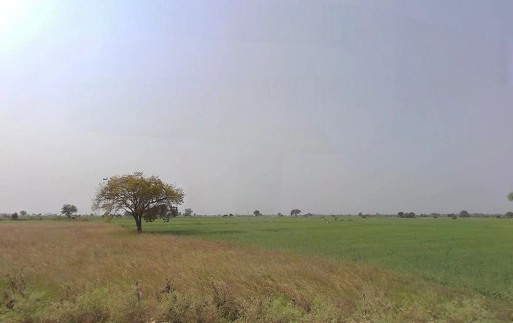 Basondi, Madhya Pradesh 475220, India