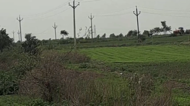 8Q7F+RQ Panbihar, Ujjain, Madhya Pradesh, India