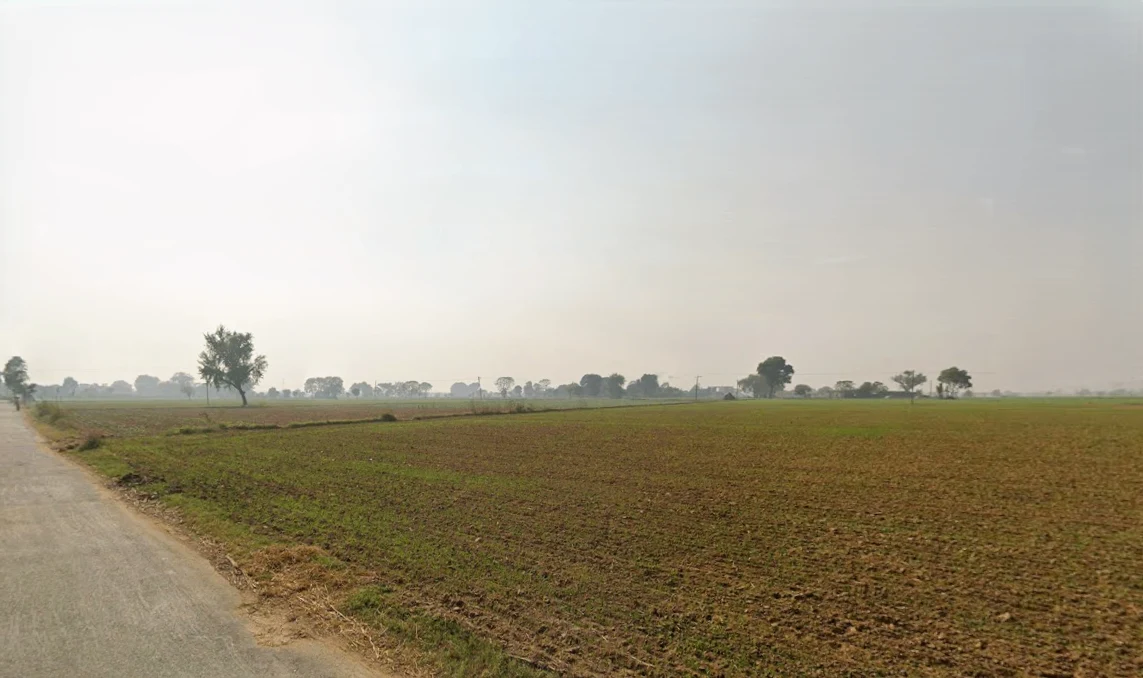 Baluda, Sohna, Haryana 122103, India