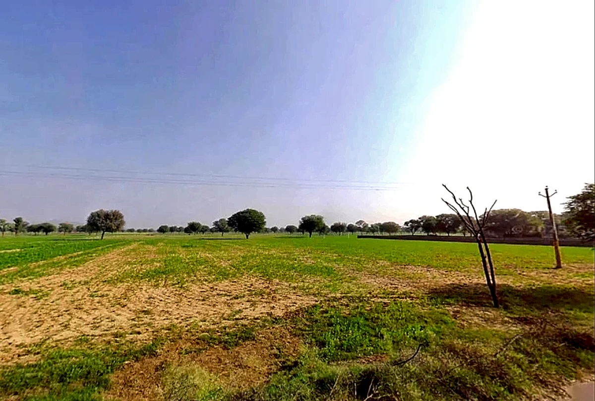 6JXX+2QF, Chomu, Govindgarh, Rajasthan 303712, India