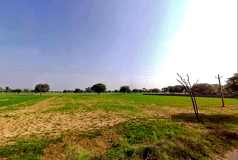 6JXX+2QF, Chomu, Govindgarh, Rajasthan 303712, India preview 2