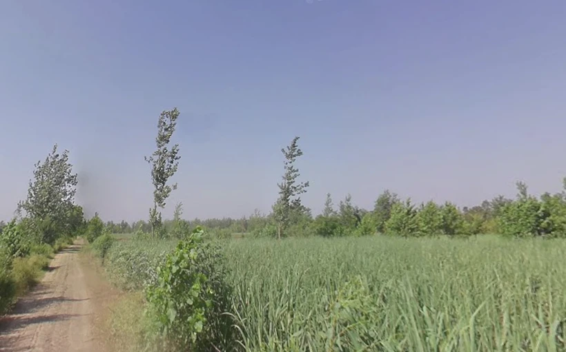 Fatehganj Pashchimi, Uttar Pradesh 243501, India