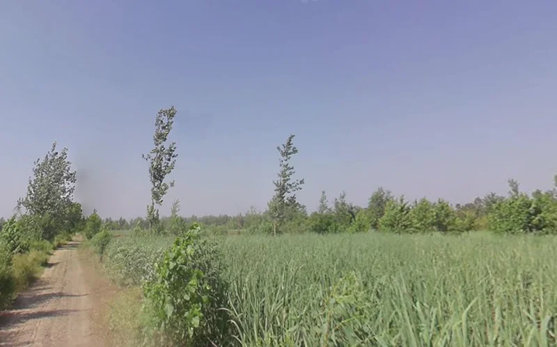 Fatehganj Pashchimi, Uttar Pradesh 243501, India preview 2