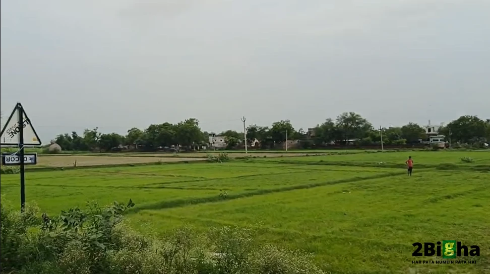 FXGH+FCR, Bichpuri, Uttar Pradesh 283105, India