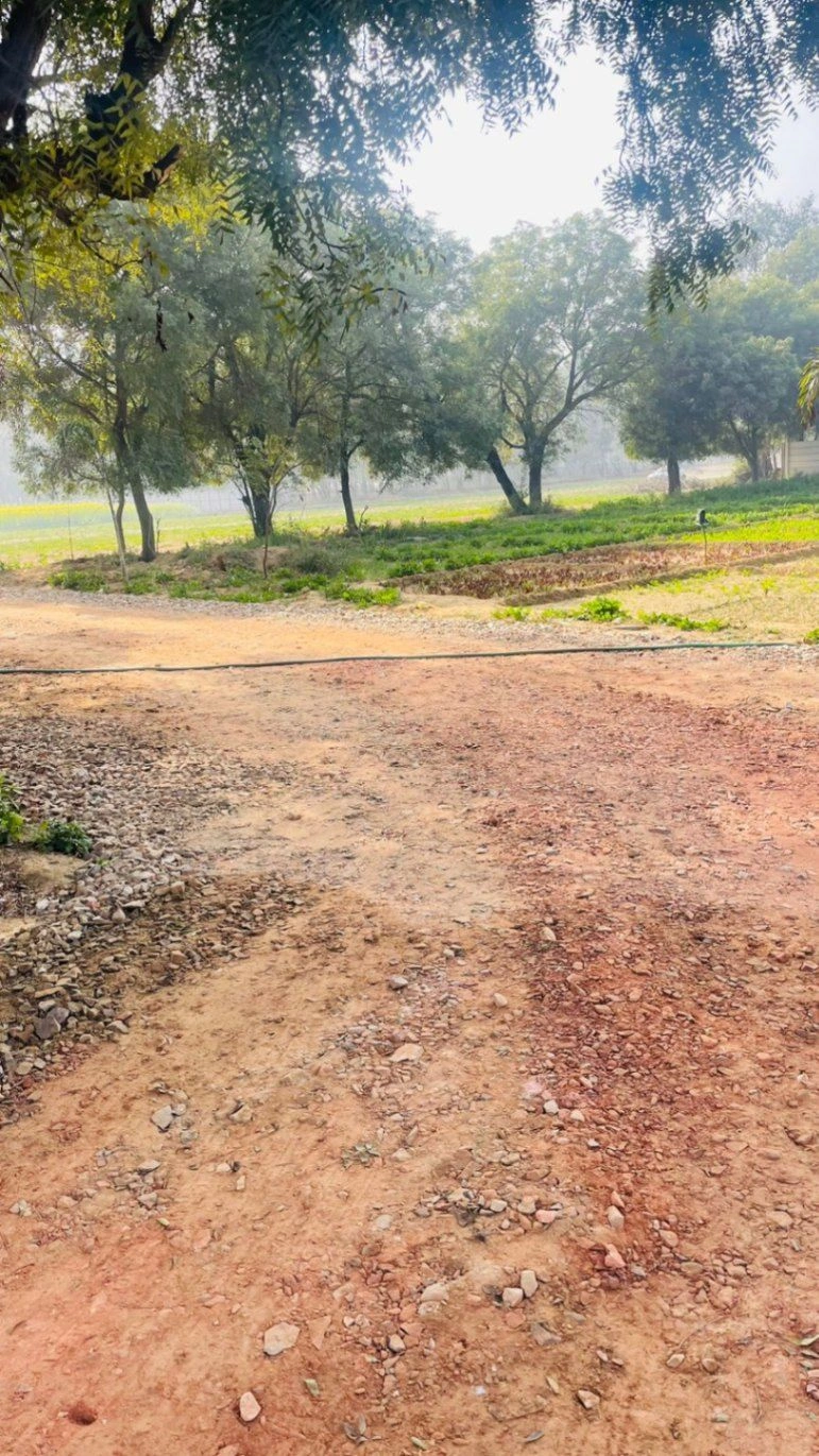 Sector 99A, Gurugram, Haryana 122505, India