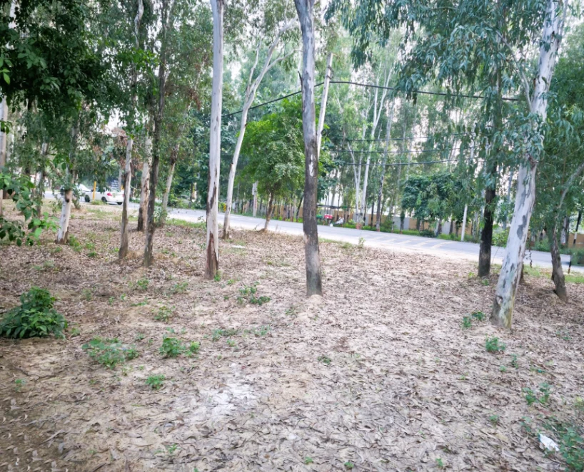 57GG+G5J, Yamunanagar, Jagadhri, Haryana, India