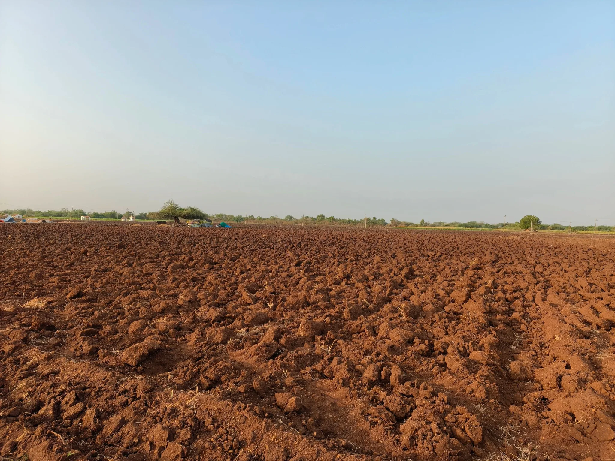 Makda, Gujarat, India