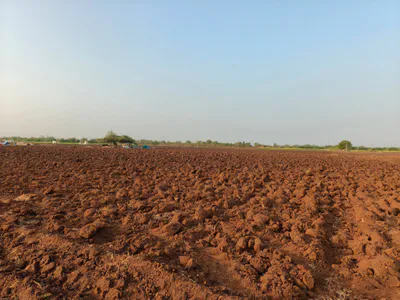 Makda, Gujarat, India preview 3