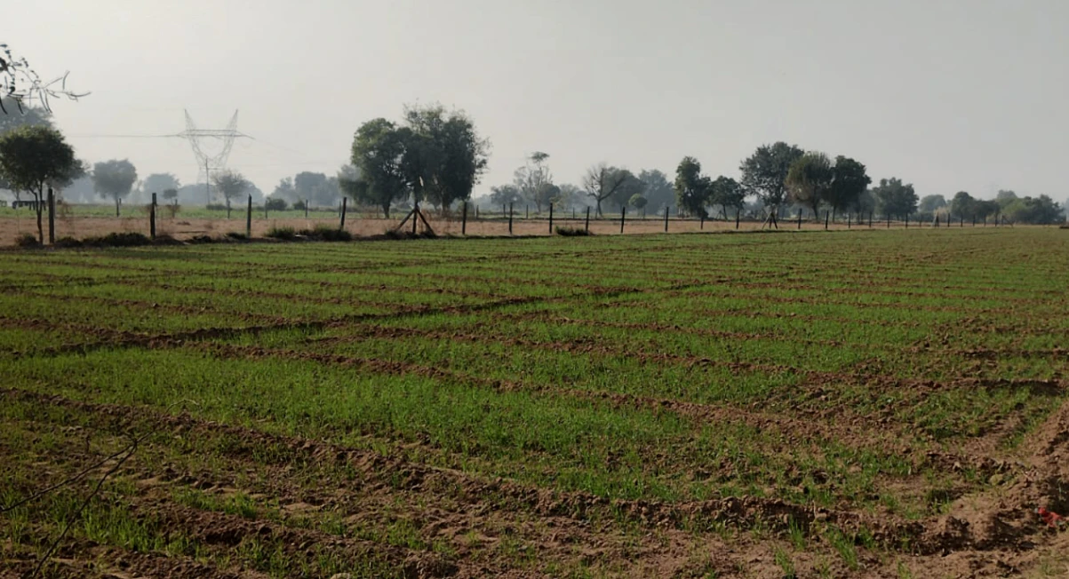 Mukteshwar, Uttarakhand, India