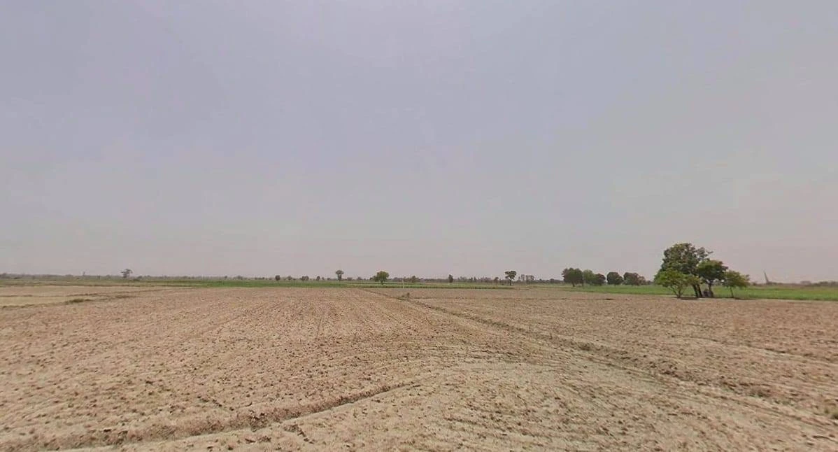 Bhadana, Haryana 131403, India