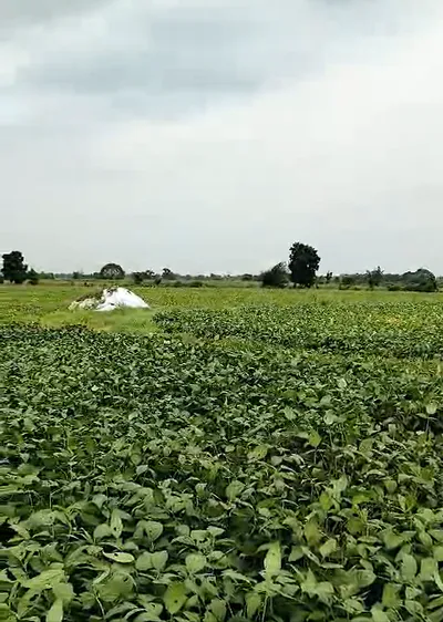H4J8+W4P, Ratlam, Sada Khedi, Madhya Pradesh 457226, India preview 3