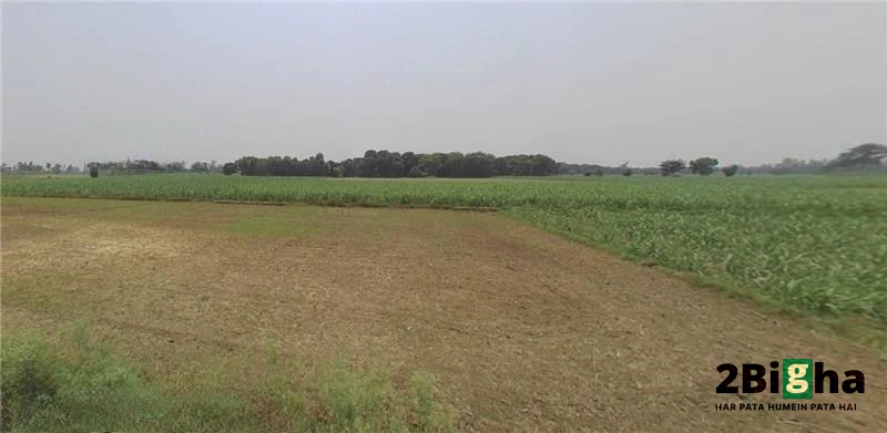 Hastinapur, Uttar Pradesh 250404, India