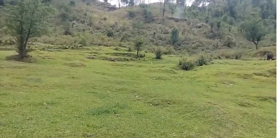 Baijnath, Himachal Pradesh, India