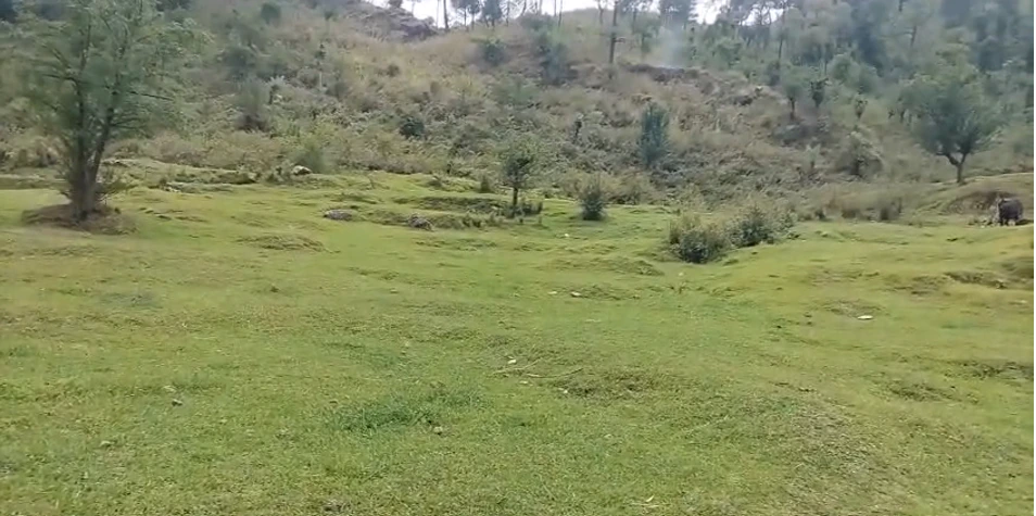 Baijnath, Himachal Pradesh, India