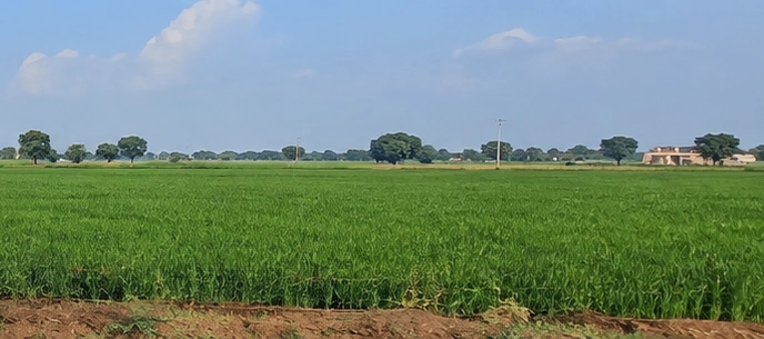 Keshoraipatan, Bundi, Rajasthan, India