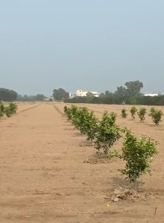 27QV+JM5, Fazilka, Bhagsar, Punjab 152026, India