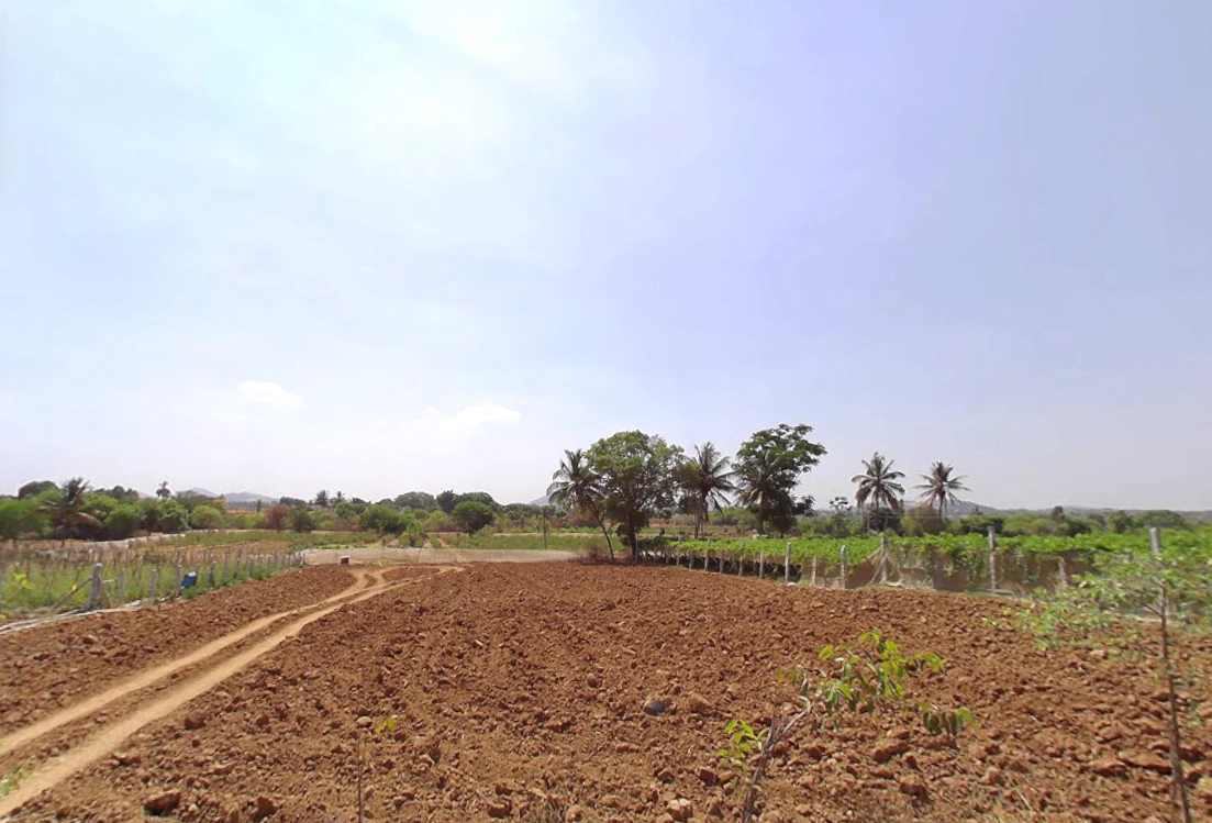 Gangrekaluve, Karnataka, India