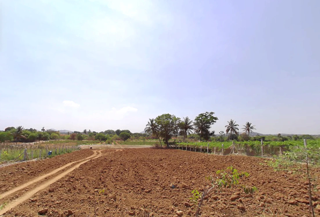 Gangrekaluve, Karnataka, India