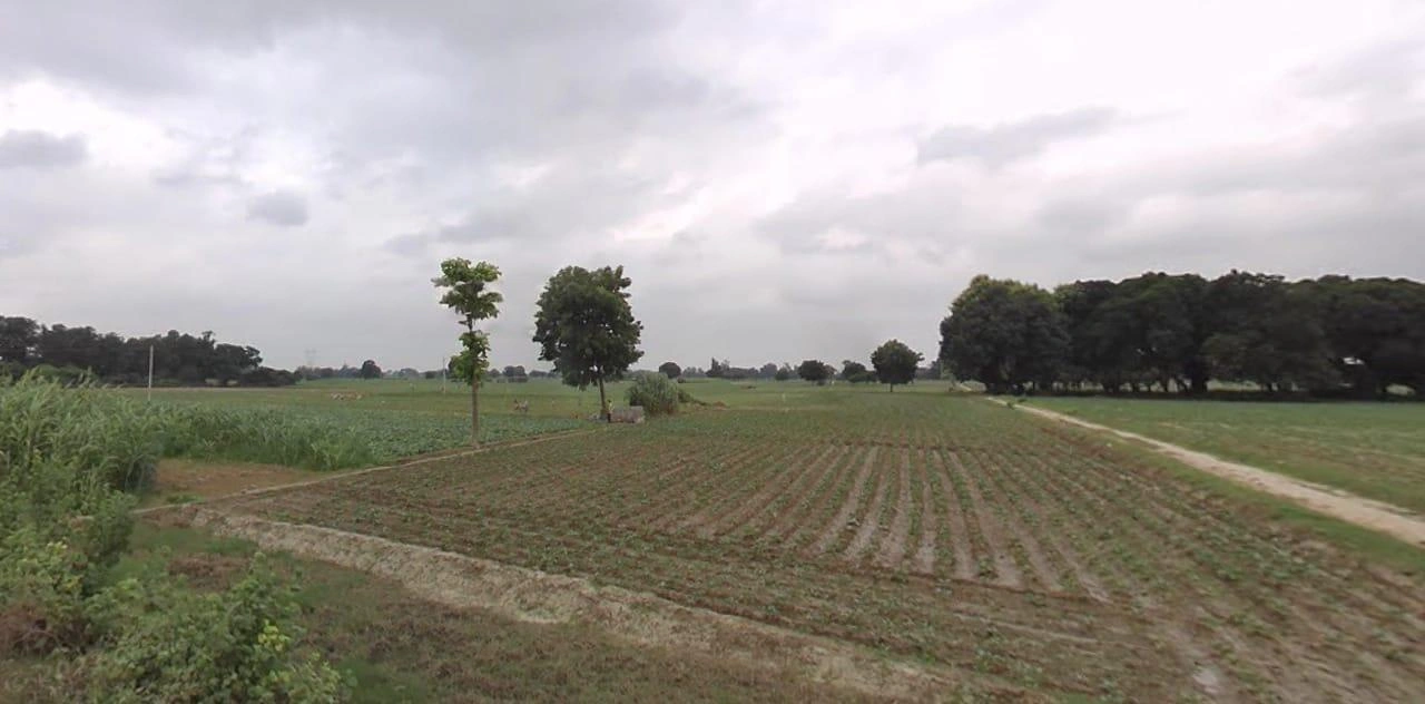 Itma, Madhya Pradesh 485441, India