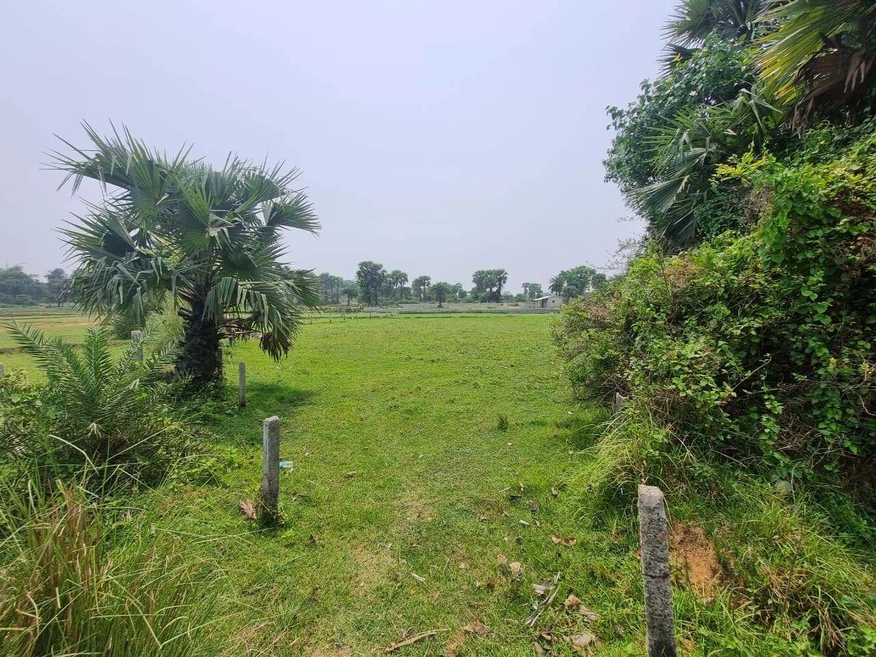 Bolpur - Santiniketan Rd, Surashree Pally, Bolpur, West Bengal, India preview 2